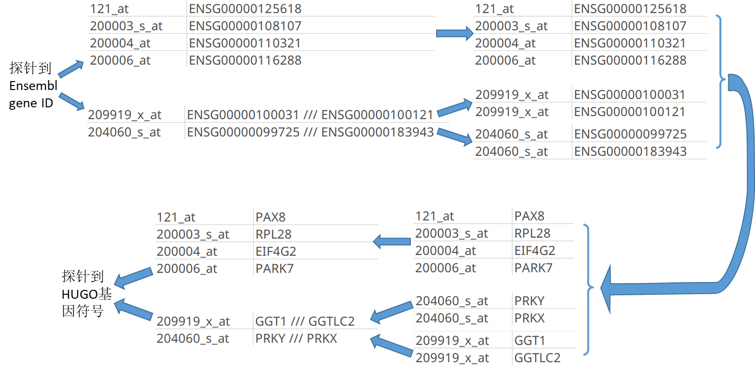 将探针对应到 HUGO 基因符号（以通过Ensembl Gene ID 为例）